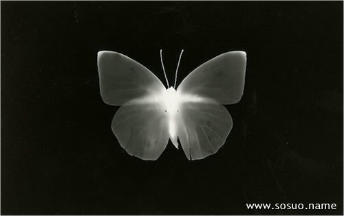 �μ���÷,�����μ���÷