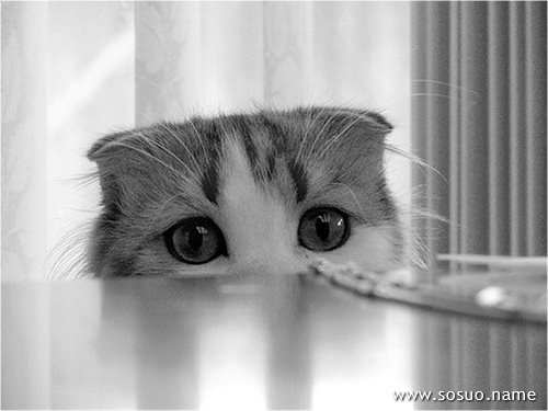 �μ��ڰ��Ľ���,�����μ��ڰ��Ľ���
