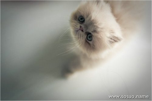 �μ�ɣ������,�����μ�ɣ������