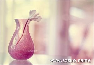 �μ��������Ҷ�����,�����μ��������Ҷ�����