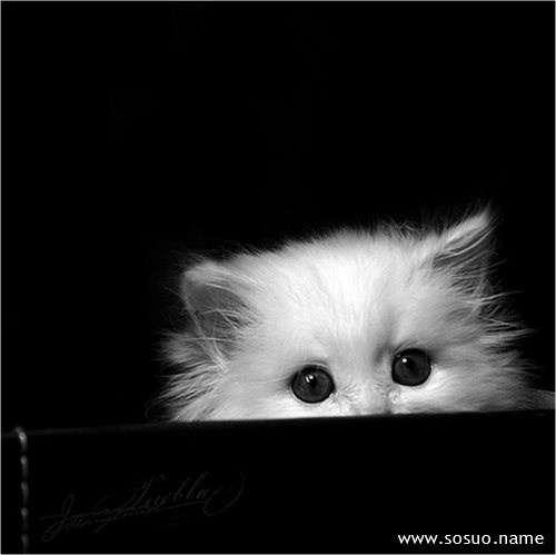 �μ���ȥ�����⹫,�����μ���ȥ�����⹫