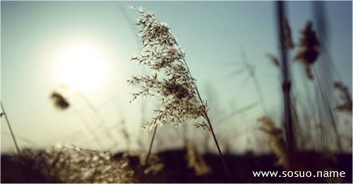�μ��e�������º�,�����μ��e�������º�