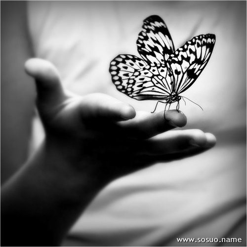 �μ�����һ��,�����μ�����һ��