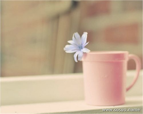 �μ��ѷ�,�����μ��ѷ�