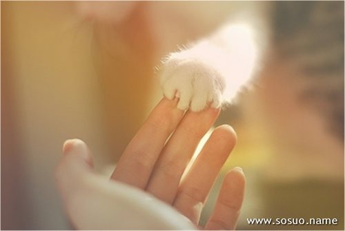 �μ�Ů���ܵ�����,�����μ�Ů���ܵ�����