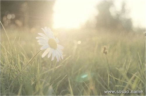 �μ��Ǵ����̳,�����μ��Ǵ����̳