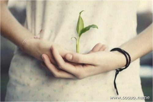 �μ�������׷,�����μ�������׷
