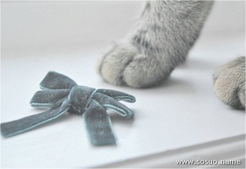 �μ�Ů������,�����μ�Ů������
