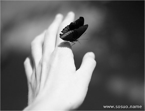 �μ���¥������,�����μ���¥������