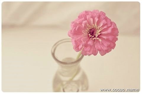 �μ�����ɧ��,�����μ�����ɧ��