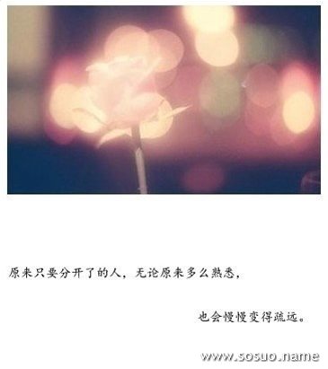 做梦梦见蜘蛛网是什么意思 做梦梦见蜘蛛网是什么意思