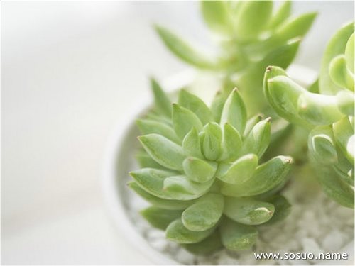 �μ����ﵽ����ˮ,�����μ����ﵽ����ˮ
