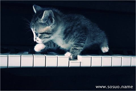 �μ��ĵ�,�����μ��ĵ�