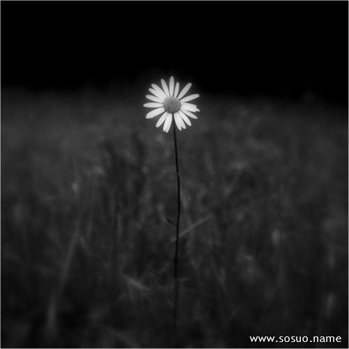 �μ����ź��ӱ����,�����μ����ź��ӱ����
