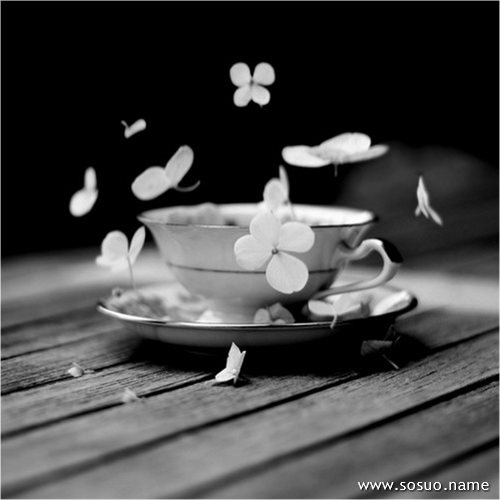 �μ��������˳�ϡ��,�����μ��������˳�ϡ��