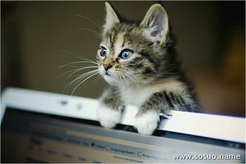 �μ����ѱ��һ�������,�����μ����ѱ��һ�������