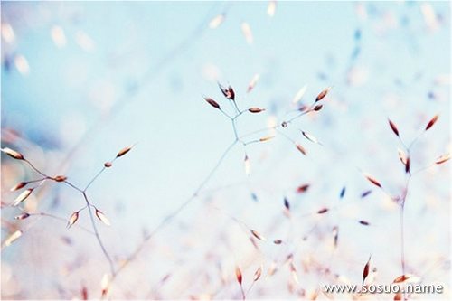 �μ�������ɱ������,�����μ�������ɱ������