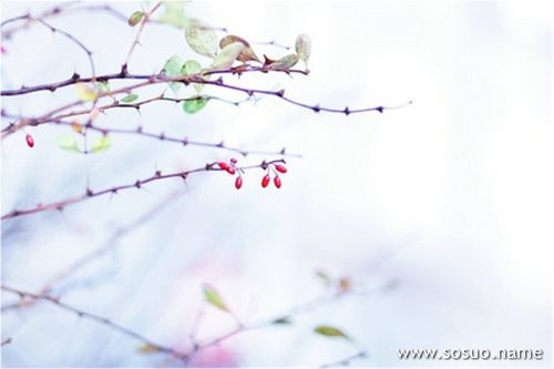 �μ���˾����������,�����μ���˾����������