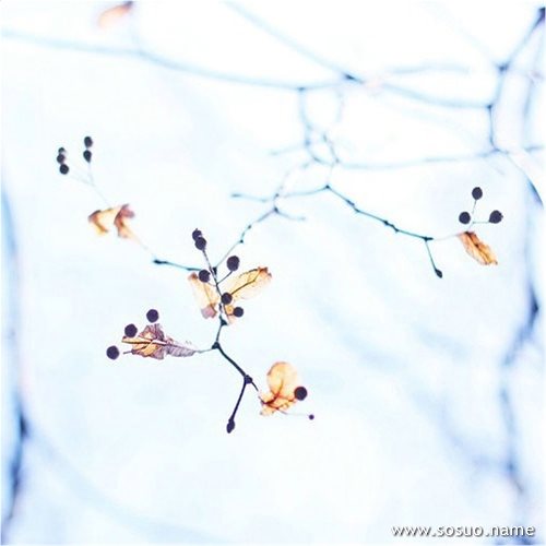 �μ���ˮƿ��������ը����,�����μ���ˮƿ��������ը����