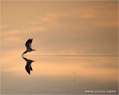 �μ�һ��ˮ�˻ؼҷŵ�������,�����μ�һ��ˮ�˻ؼҷŵ�������