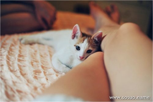 �μ���Ů,�����μ���Ů