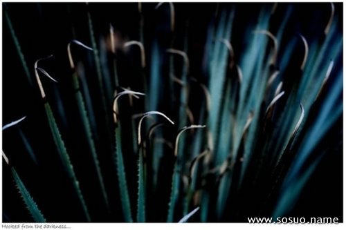 �μ������ܶ���,�����μ������ܶ���