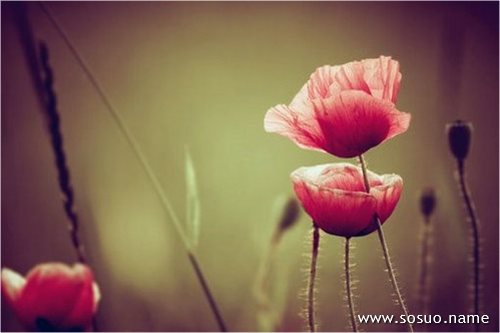 �μ�����Ů�ͼ�����,�����μ�����Ů�ͼ�����