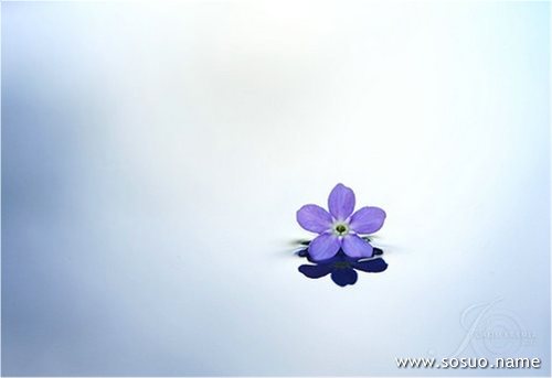 �μ�צ�ۿ���,�����μ�צ�ۿ���