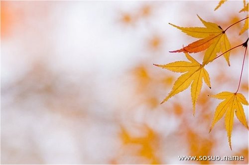 �μ�����������һ��Է�,�����μ�����������һ��Է�