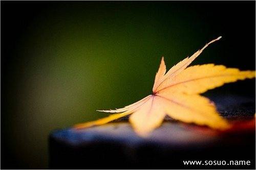 �μ�����Ѱ���Լ�,�����μ�����Ѱ���Լ�