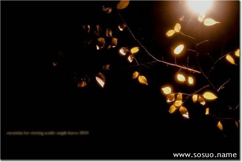 �μ����Լ����˼��Ŀ�����,�����μ����Լ����˼��Ŀ�����