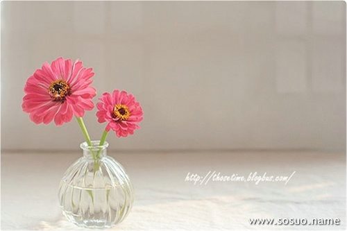 �μ���ѧУ����,�����μ���ѧУ����