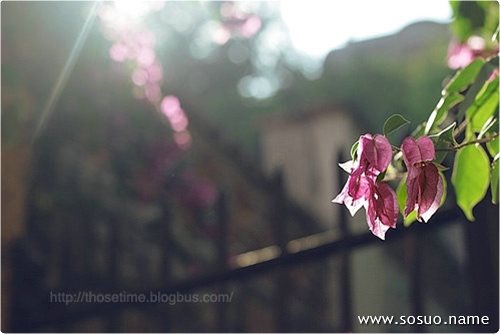 �μ�ʨ�ӱ������Լ�,�����μ�ʨ�ӱ������Լ�