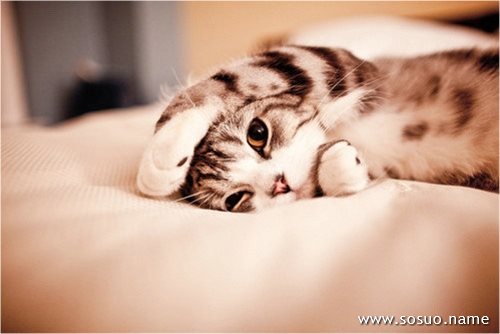 �μ�������Ӽ���,�����μ�������Ӽ���
