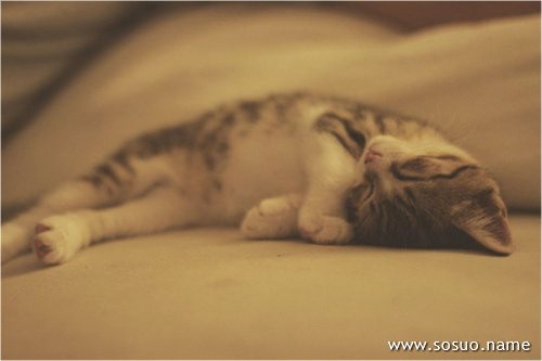 �μ����������̸�����,�����μ����������̸�����