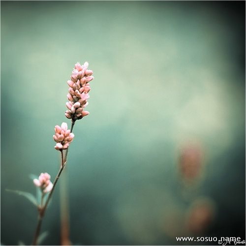 梦见要买的新房里有坟意味着什么?