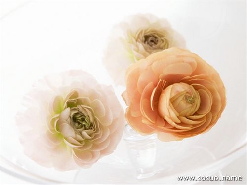 �μ����۵��۾�,�����μ����۵��۾�