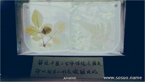 �μ��ͽ�,�����μ��ͽ�