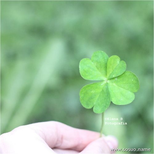 �μ����˳�������,�����μ����˳�������