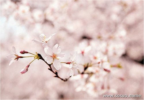 �μ��Լ��ĳ�����¥�����һ���,�����μ��Լ��ĳ�����¥�����һ���