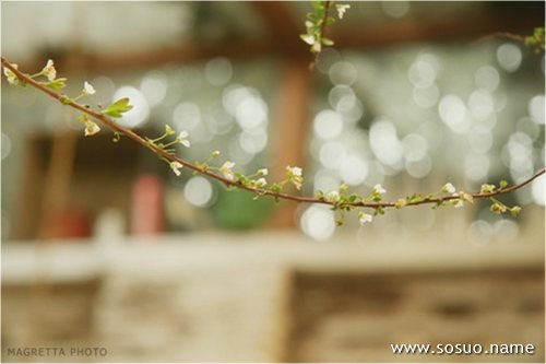 �μ����˴���ȥ��������,�����μ����˴���ȥ��������