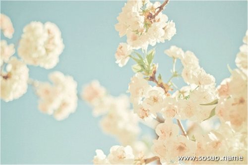 �μ�ʳƷ��,�����μ�ʳƷ��