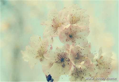 �μ���ʰ����ؼ�,�����μ���ʰ����ؼ�