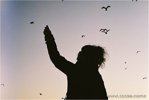 �μ��ﵥ����һֻ��׷ҧ����,�����μ��ﵥ����һֻ��׷ҧ����
