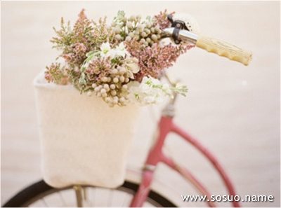 �μ�ӥ��Ǯ���ͷ,�����μ�ӥ��Ǯ���ͷ