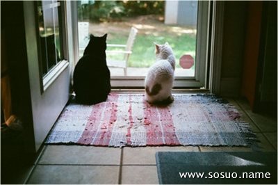 �μ������߻�,�����μ������߻�