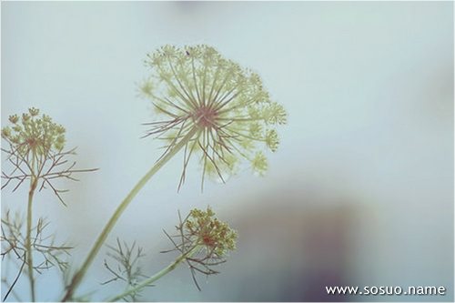 �μ�����û��,�����μ�����û��