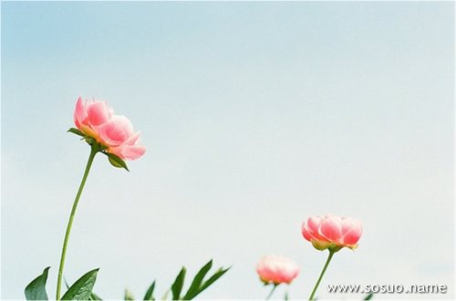 �μ���̨��γ�,�����μ���̨��γ�