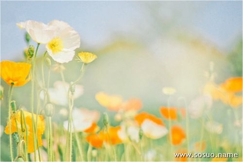 �μ���¶��,�����μ���¶��