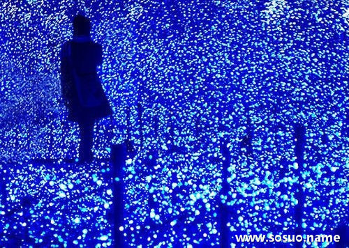 �μ�ͬѧ���ϰ�����Ҵ�绰,�����μ�ͬѧ���ϰ�����Ҵ�绰